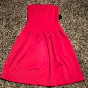 NWT Strapless Fit and Flare Dress